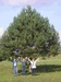 Tak takto vyzerá najkrajší strom v Prešove